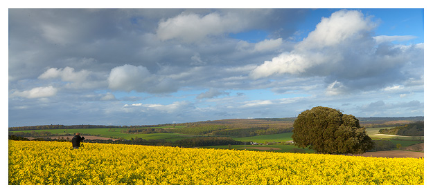 Simon photographing a beautiful field of Oil Seed Rape. South Downs National Park Simon photographing a beautiful field of Oil Seed Rape. South Downs National Park