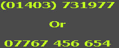 (01403) 731977

Or

07767 456 654